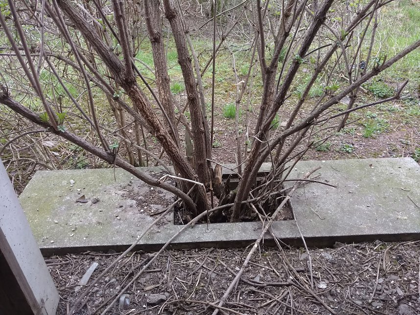 Peter Blei unterwegs in der S&uuml;dstra&szlig;e