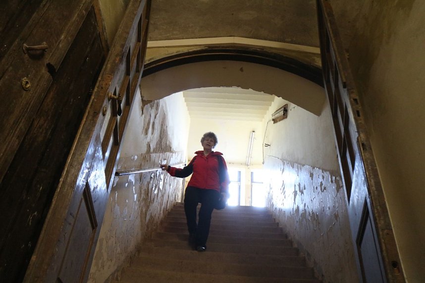 Der Fr&uuml;hling hat schon lange Einzug gehalten im Park Hohenrode