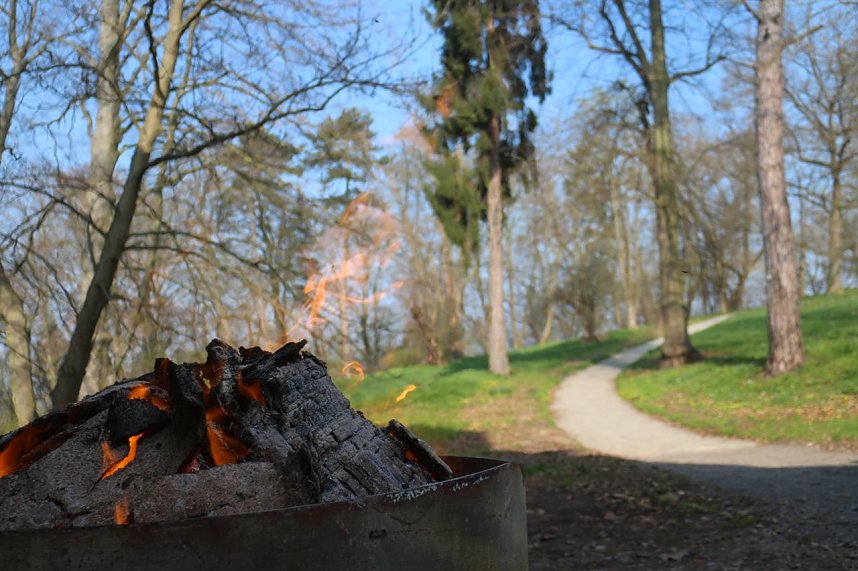 Der Fr&uuml;hling hat schon lange Einzug gehalten im Park Hohenrode