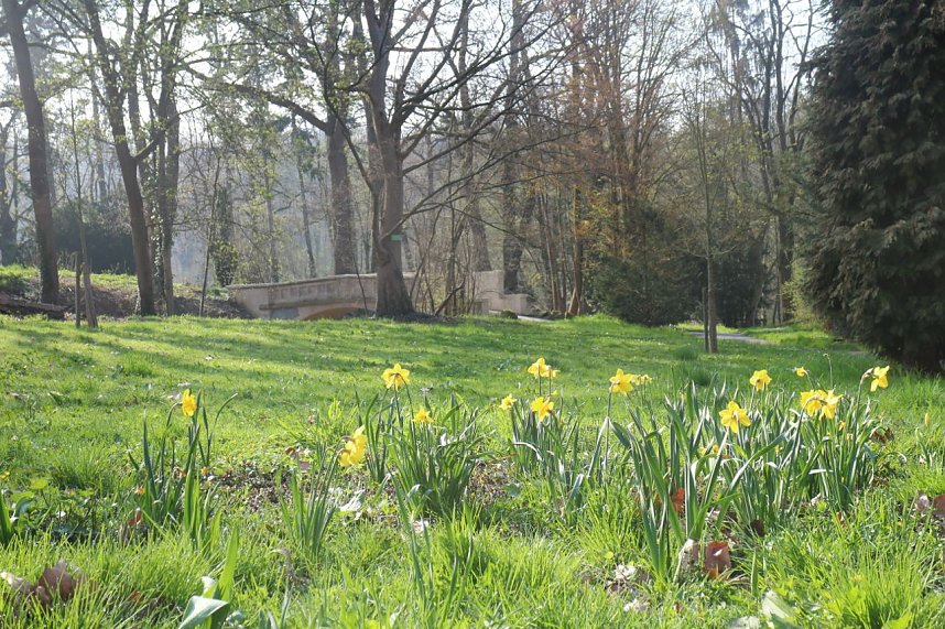 Der Fr&uuml;hling hat schon lange Einzug gehalten im Park Hohenrode