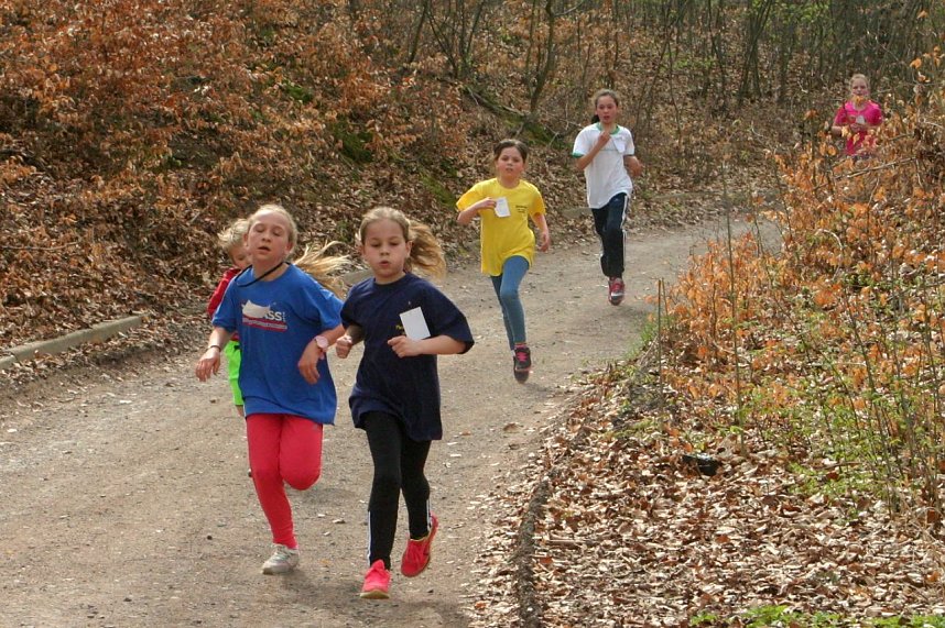 Nordh&auml;user Fr&uuml;hjahrscrosslauf 2016