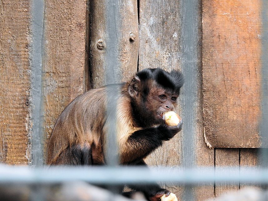 Tiergarten Delitzsch