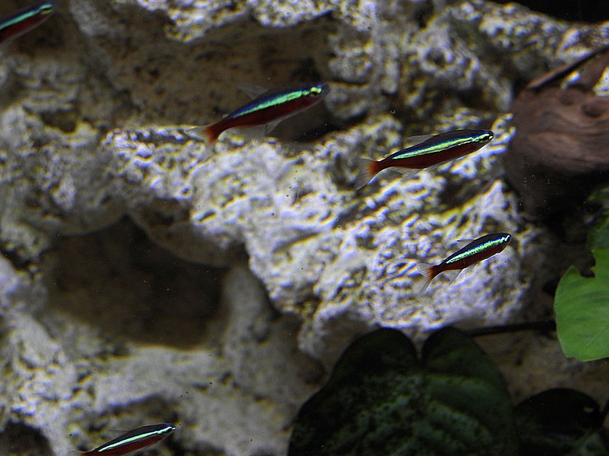 Tiergarten Delitzsch