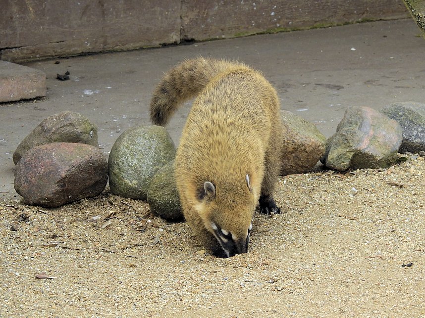 Tiergarten Delitzsch