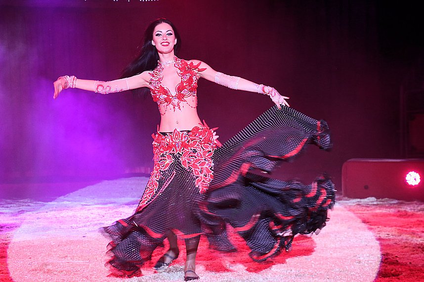 Zirkus Knie in Nordhausen