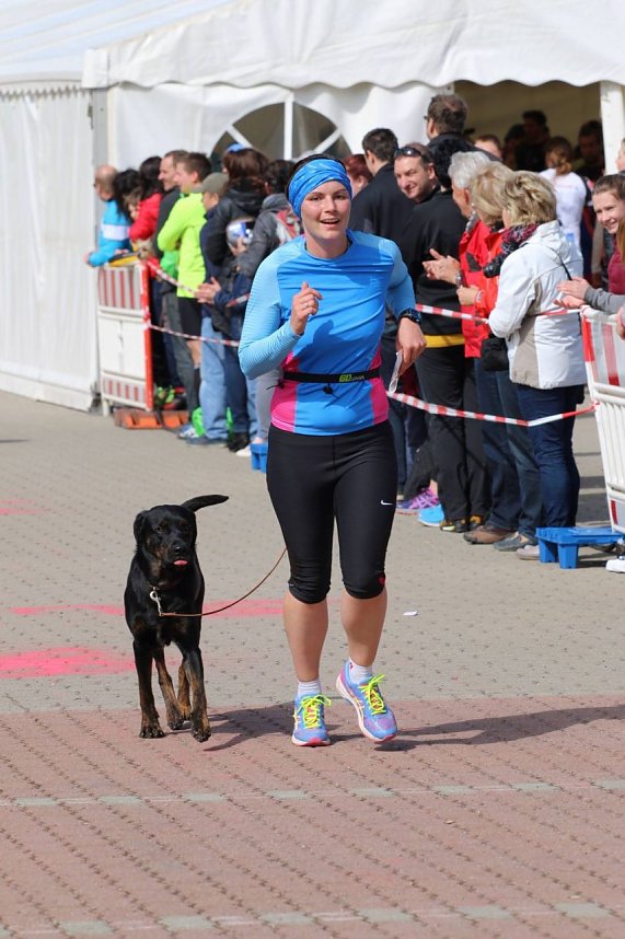 3. Harztor-Lauf - Impressionen