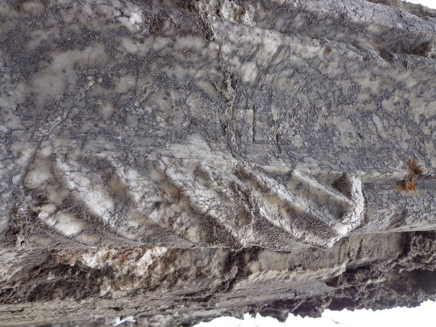 Subottnik des Nordh&auml;user Geschichts- und Altertumsvereins