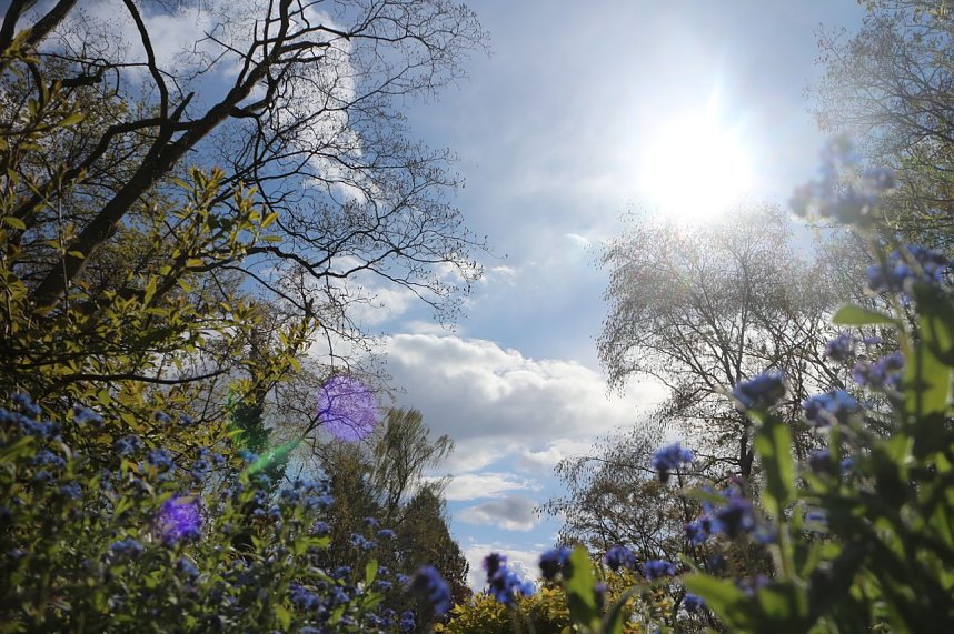 Spaziergang im Park Hohenrode