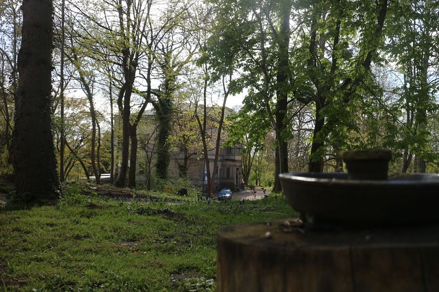 Spaziergang im Park Hohenrode