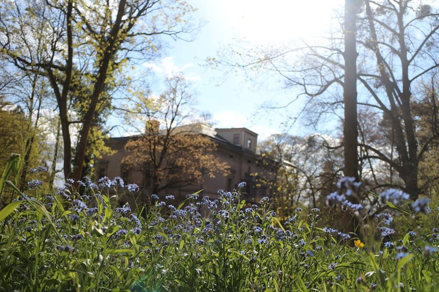 Spaziergang im Park Hohenrode