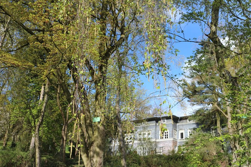 Spaziergang im Park Hohenrode