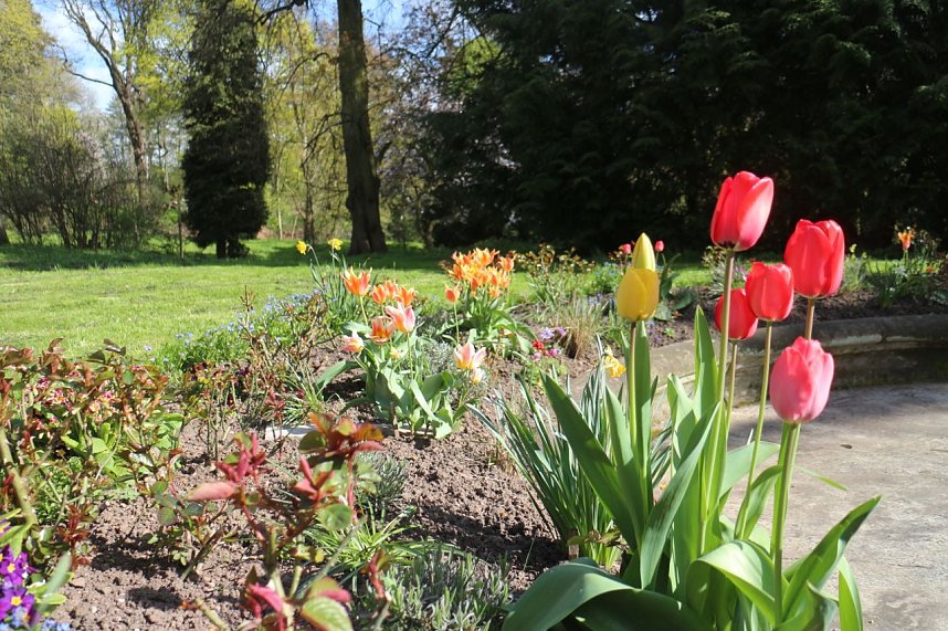 Spaziergang im Park Hohenrode