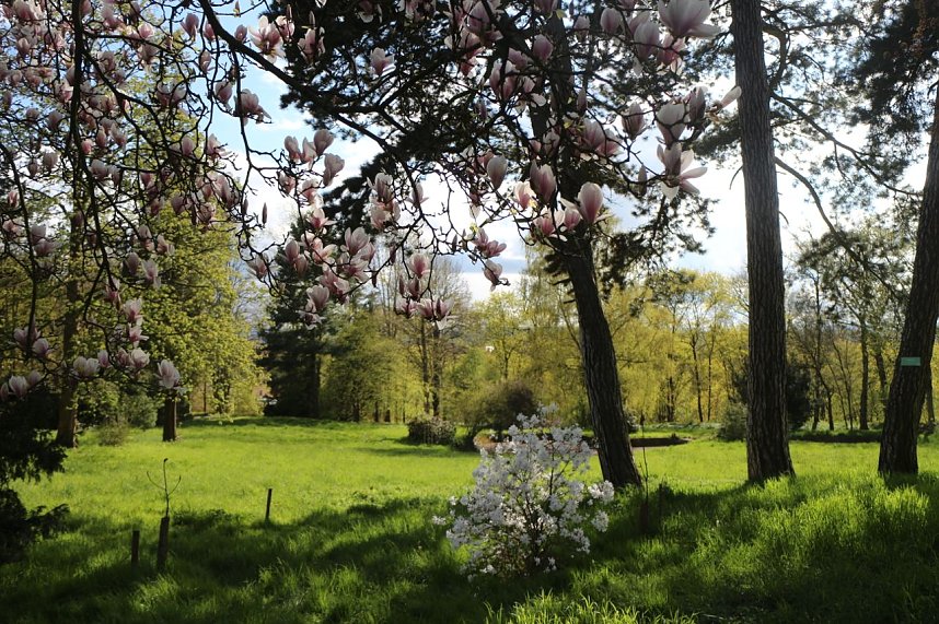 Spaziergang im Park Hohenrode