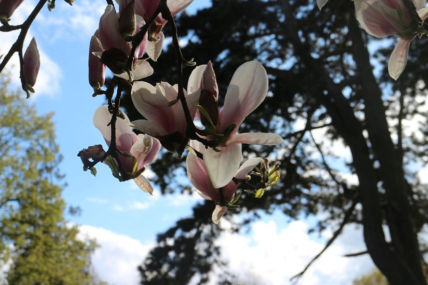 Spaziergang im Park Hohenrode