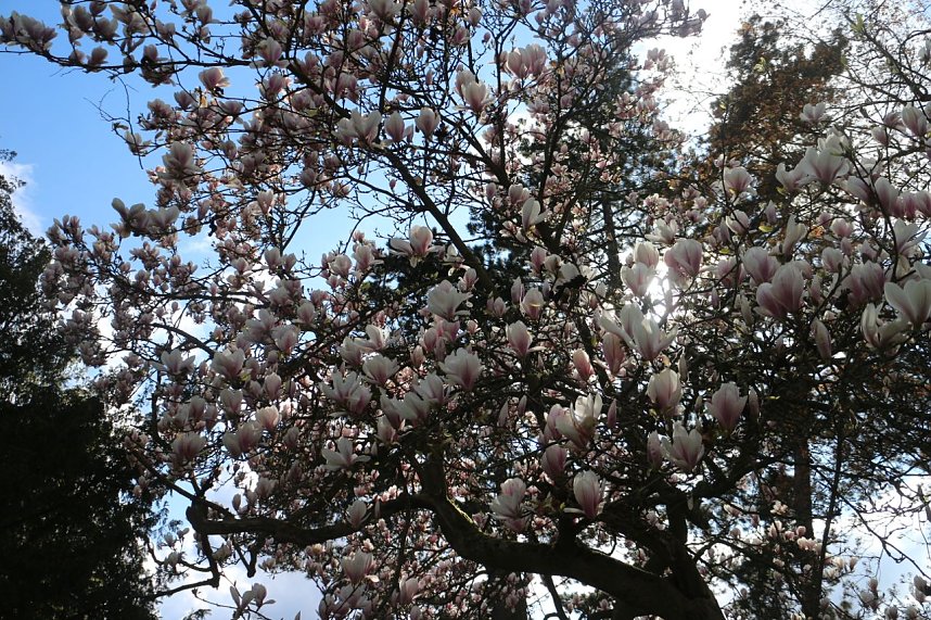 Spaziergang im Park Hohenrode