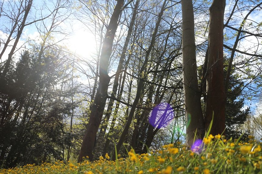 Spaziergang im Park Hohenrode