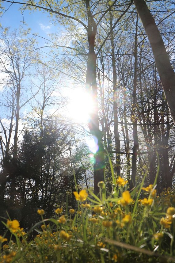 Spaziergang im Park Hohenrode