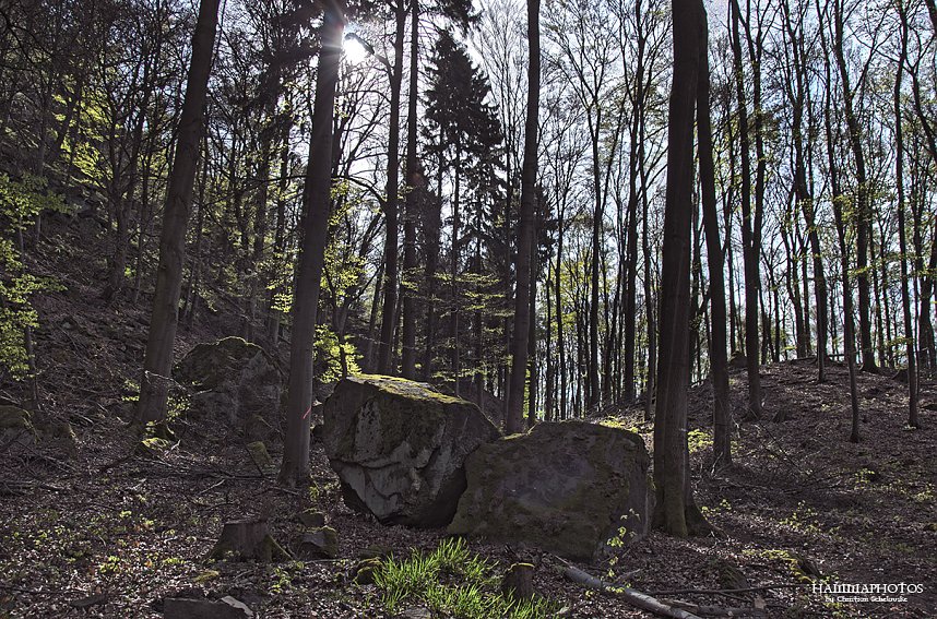 Die Felsen Tour im S&uuml;dharz