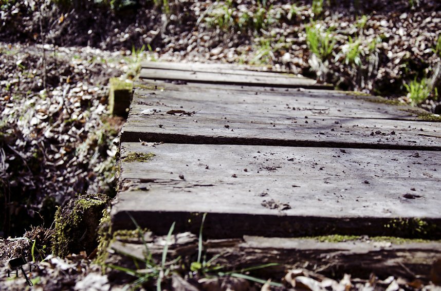 Die Felsen Tour im S&uuml;dharz