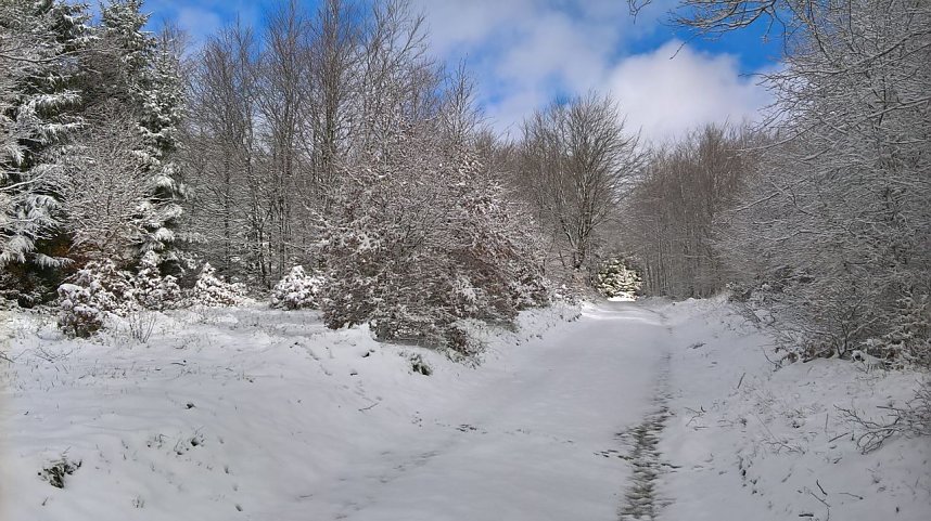 Winter im S&uuml;dharz