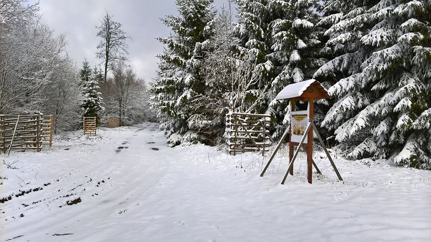 Winter im S&uuml;dharz