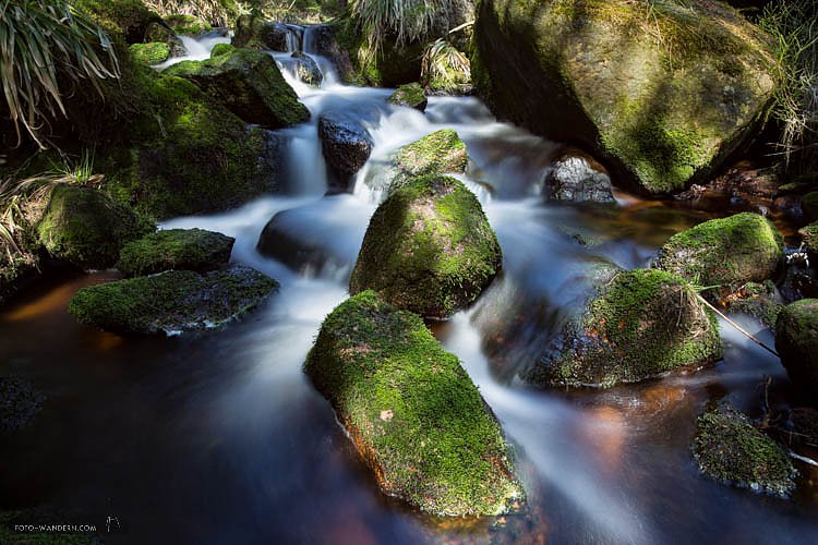 Mit Rucksack und Kamera