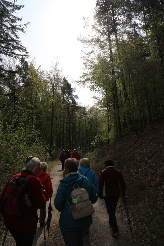 Sparkassenwanderung in Bleicherode