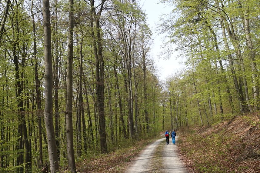Sparkassenwanderung in Bleicherode
