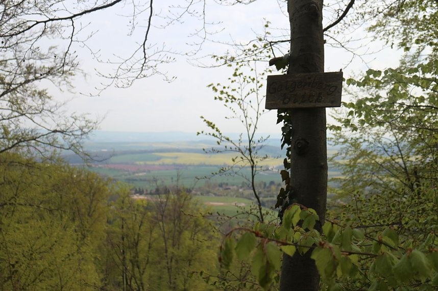 Sparkassenwanderung in Bleicherode
