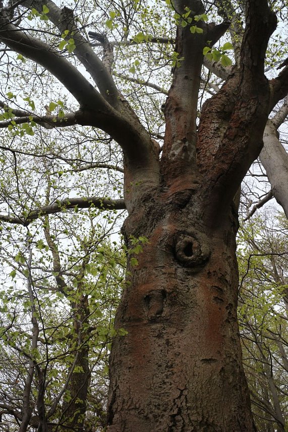 Sparkassenwanderung in Bleicherode