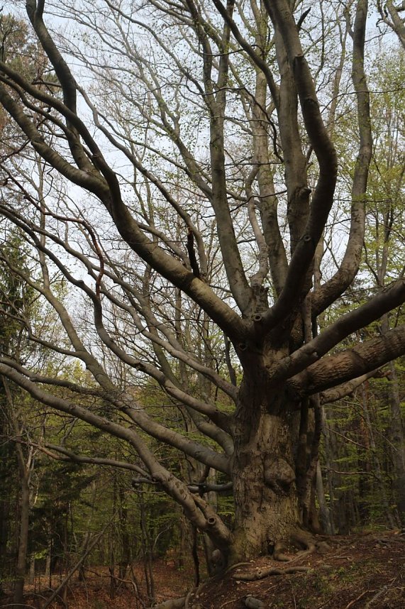 Sparkassenwanderung in Bleicherode