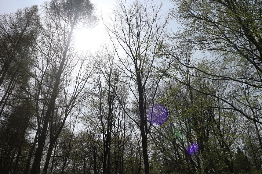 Sparkassenwanderung in Bleicherode