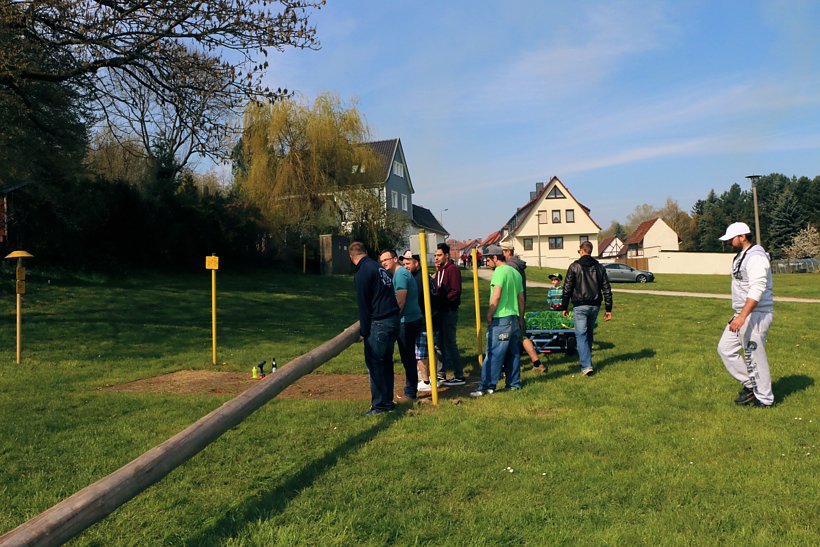 Maibaum in W&uuml;lfingerode gesetzt