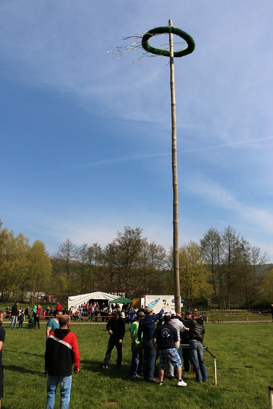 Maibaum in W&uuml;lfingerode gesetzt
