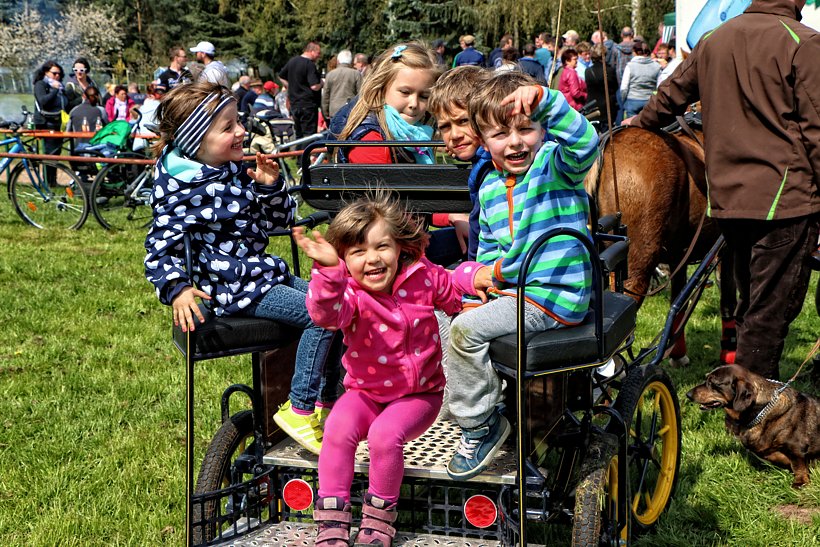 Maibaum in W&uuml;lfingerode gesetzt