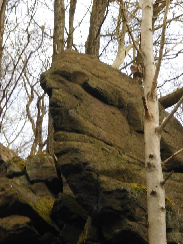 Die W&auml;chter des Harzes