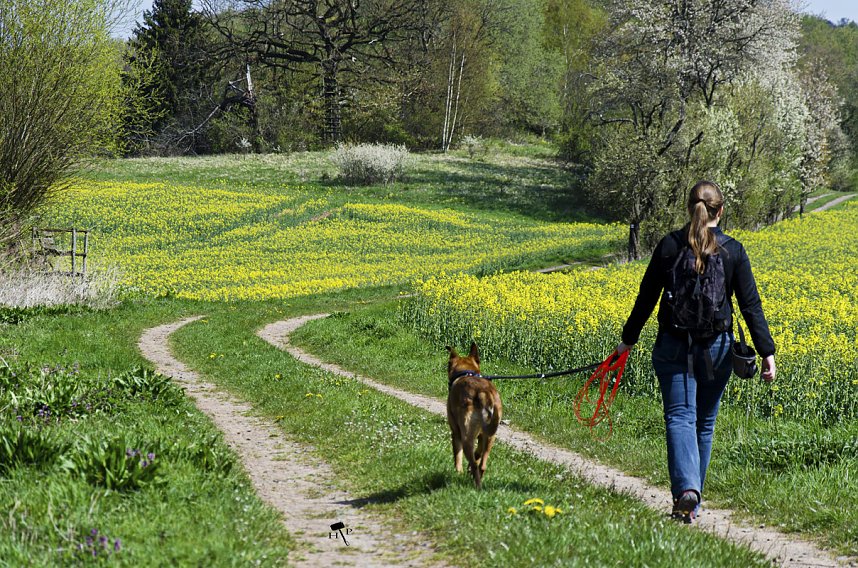 Erdfallseen, trockene Fl&uuml;sse und ganz viel Raps - Christian Schelauske war im Nordwesten des Landkreises unterwegs