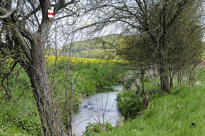 Erdfallseen, trockene Fl&uuml;sse und ganz viel Raps - Christian Schelauske war im Nordwesten des Landkreises unterwegs
