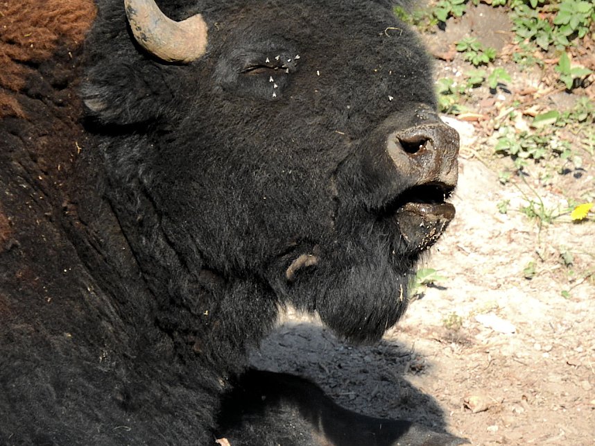 Zum Vatertag unterwegs