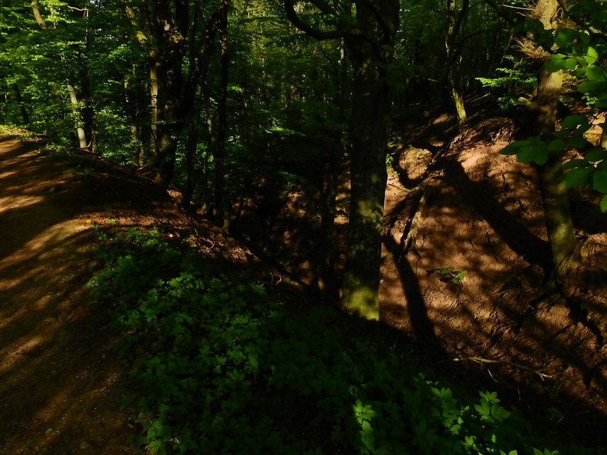 Zum Vatertag unterwegs