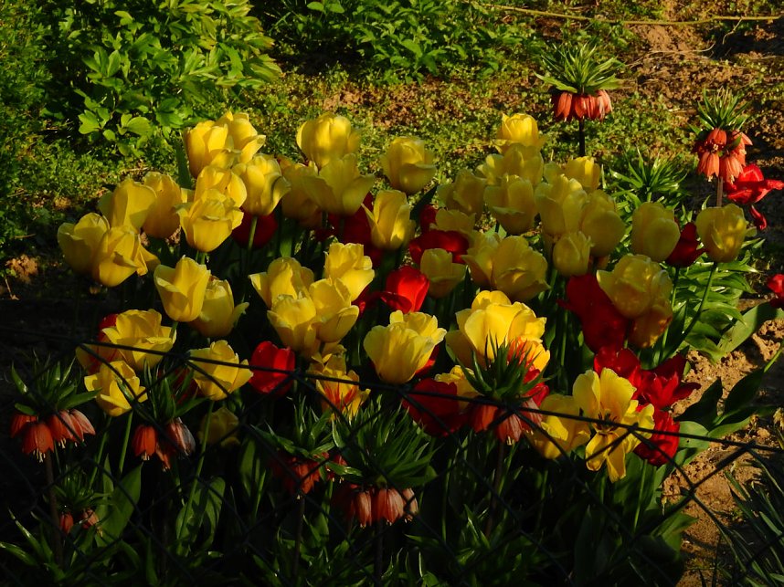 Zum Vatertag unterwegs