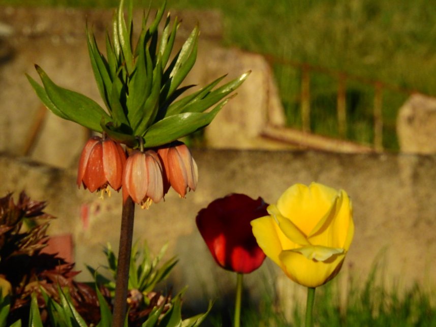 Zum Vatertag unterwegs