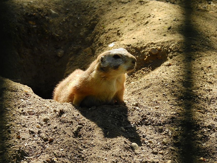 Peter Blei unterwegs in K&ouml;then