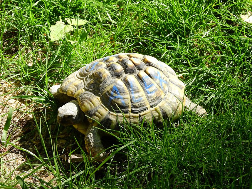 Peter Blei unterwegs in K&ouml;then