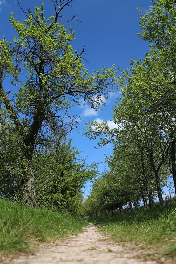 nnz-Sonntagsspaziergang zwischen Himmelgarten und Leimbach