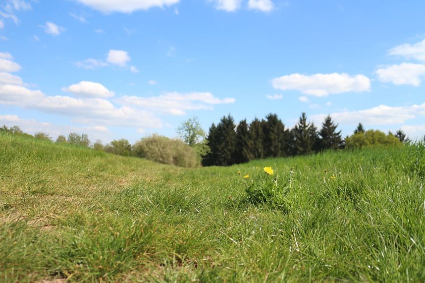 nnz-Sonntagsspaziergang zwischen Himmelgarten und Leimbach
