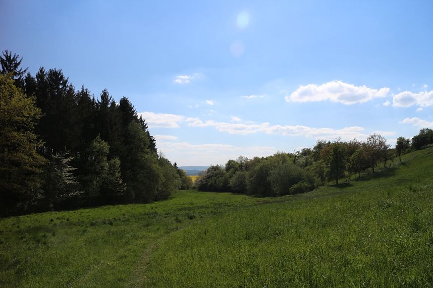 nnz-Sonntagsspaziergang zwischen Himmelgarten und Leimbach