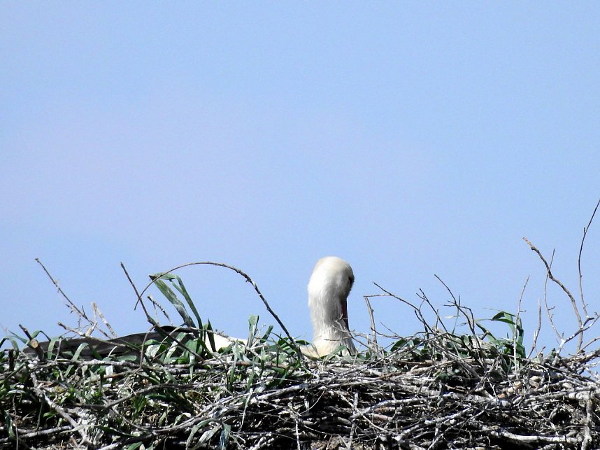 Schloss und Schlosspark Wiesenburg