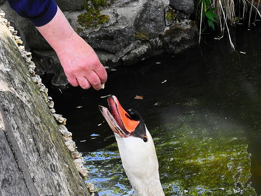 Schloss und Schlosspark Wiesenburg