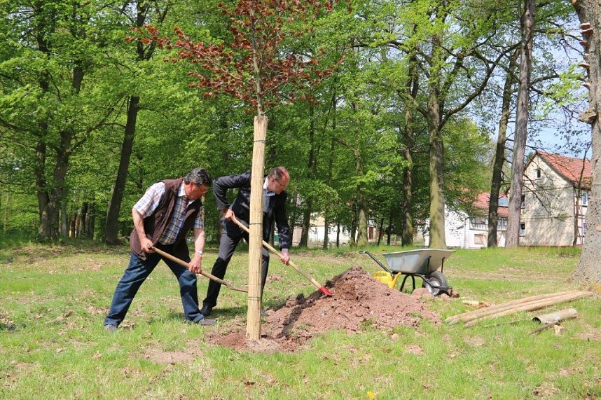 Barfu&szlig;- und Naturlehrpfad &uuml;bergeben und Baum gepflanzt